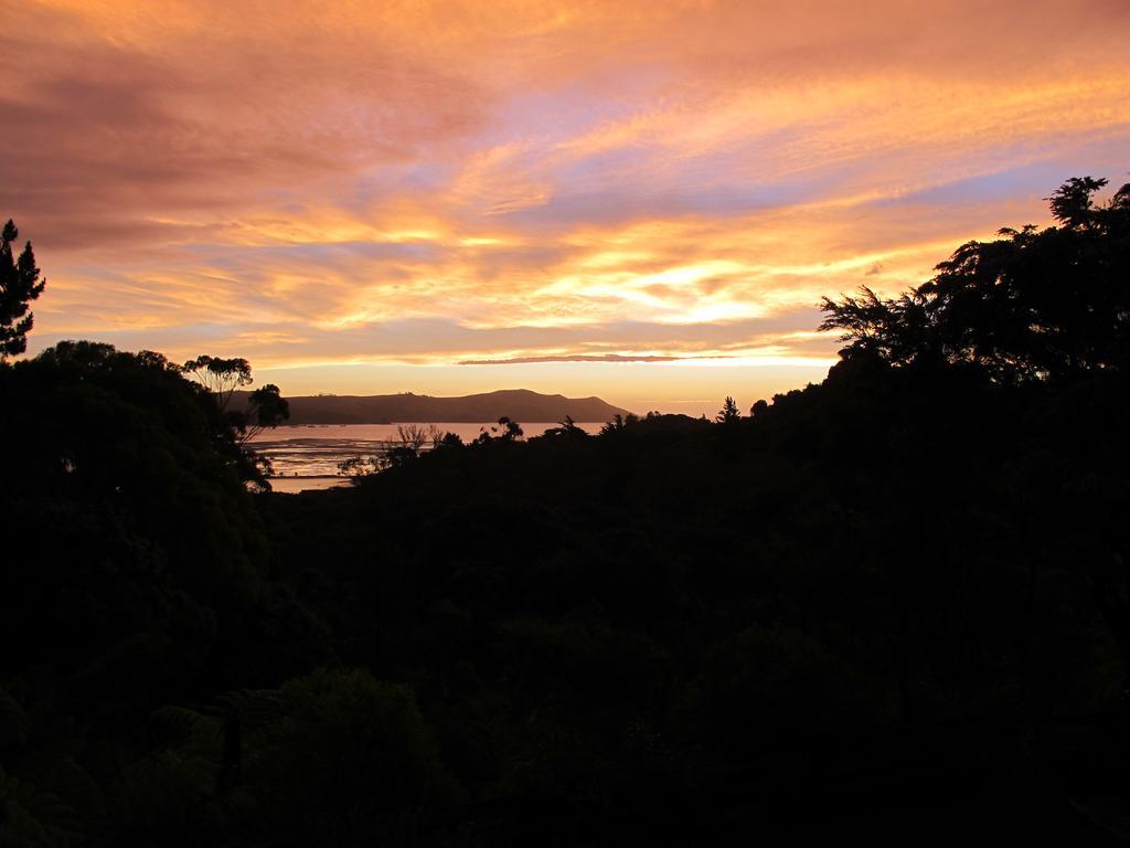 Studio 531 Coromandel Bilik gambar